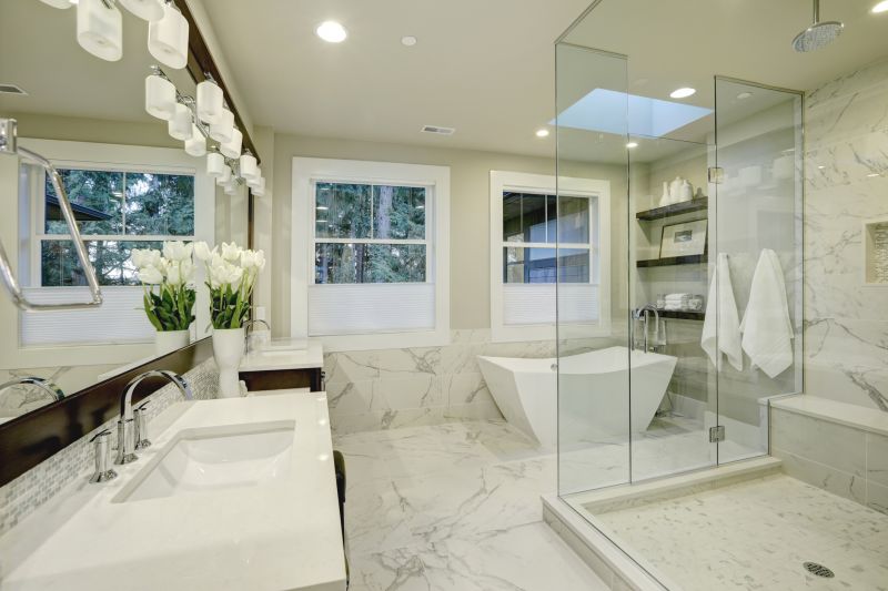 Master Bathroom Remodels